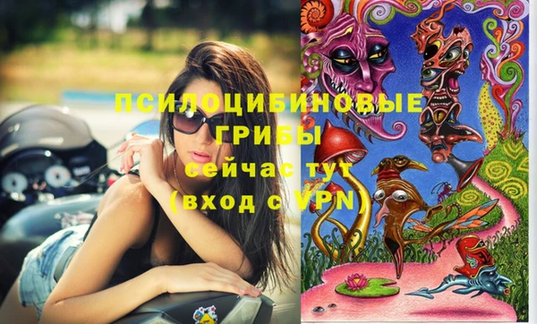 2c-b Абаза