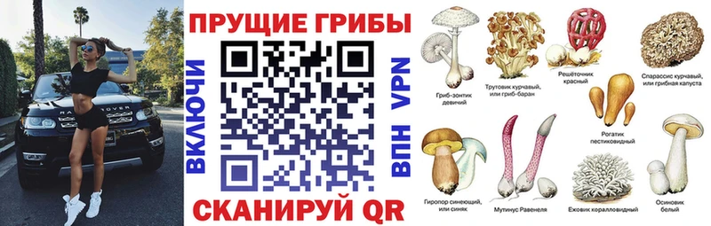 Псилоцибиновые грибы мицелий Электроугли